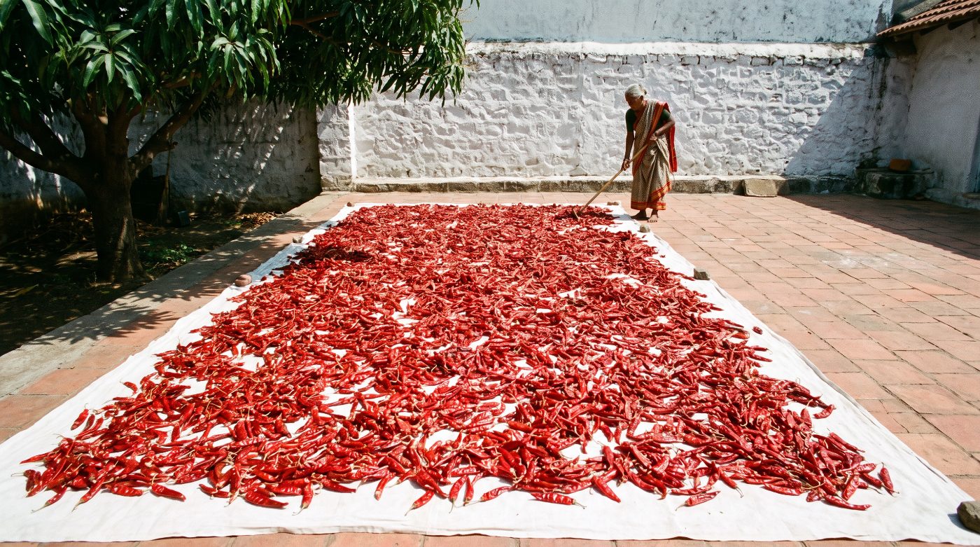 Red chillies sun-drying in a courtyard